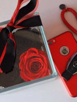 رز جاویدان RI100 Rose Immortal