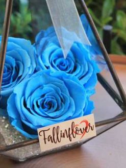 رز جاویدان RI103 Rose Immortal