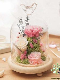 رز جاویدان RI104 Rose Immortal