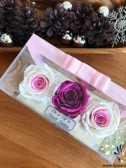 رز جاویدان RI107 Rose Immortal