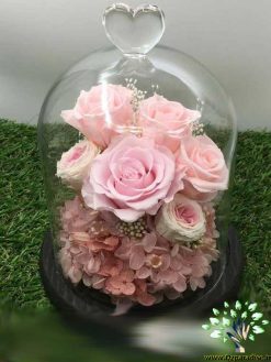 رز جاویدان RI108 Rose Immortal