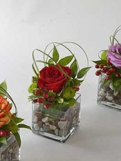 رز جاویدان RI109 Rose Immortal