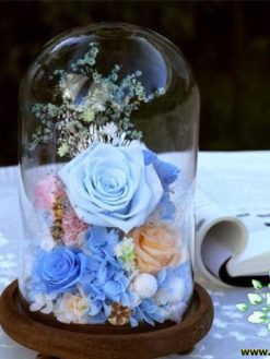 رز جاویدان RI111 Rose Immortal