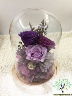 رز جاویدان RI112 Rose Immortal