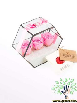 رز جاویدان RI114 Rose Immortal