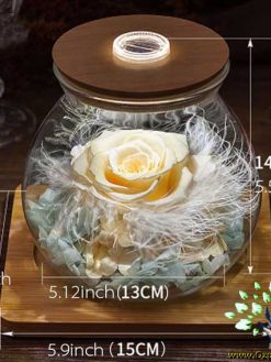 رز جاویدان RI115 Rose Immortal