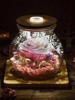 رز جاویدان RI117 Rose Immortal