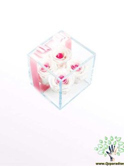 رز جاویدان RI118 Rose Immortal