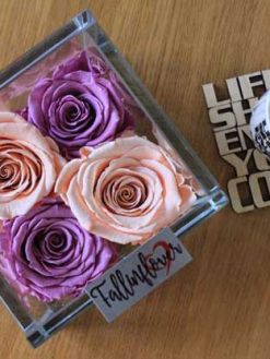 رز جاویدان RI119 Rose Immortal