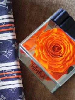 رز جاویدان RI12 Rose Immortal