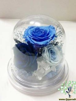 رز جاویدان RI120 Rose Immortal