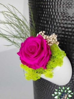 رز جاویدان RI122 Rose Immortal