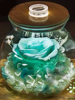 رز جاویدان RI123 Rose Immortal