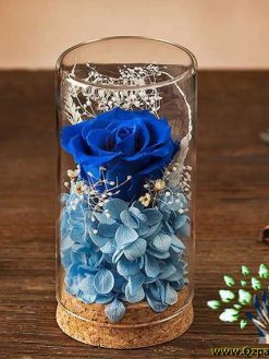 رز جاویدان RI124 Rose Immortal