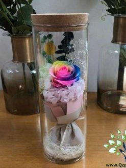 رز جاویدان RI125 Rose Immortal