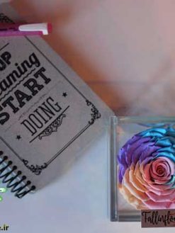 رز جاویدان RI127 Rose Immortal