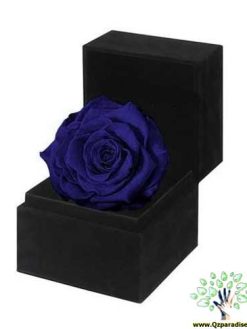 رز جاویدان RI128 Rose Immortal