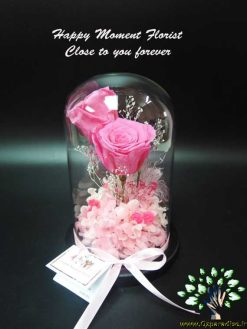 رز جاویدان RI130 Rose Immortal