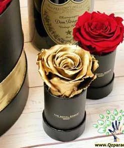 رز جاویدان RI131 Rose Immortal