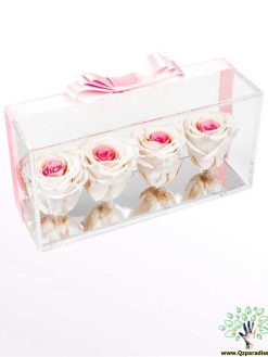 رز جاویدان RI132 Rose Immortal