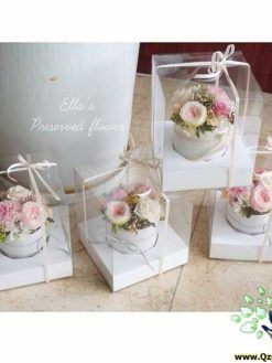 رز جاویدان RI133 Rose Immortal