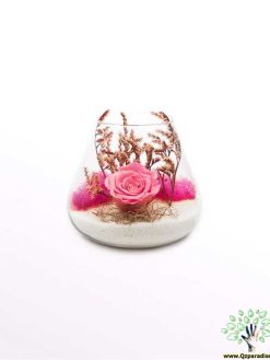 رز جاویدان RI135 Rose Immortal