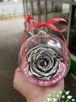 رز جاویدان RI138 Rose Immortal