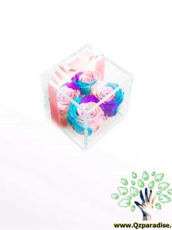 رز جاویدان RI139 Rose Immortal