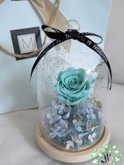 رز جاویدان RI14 Rose Immortal