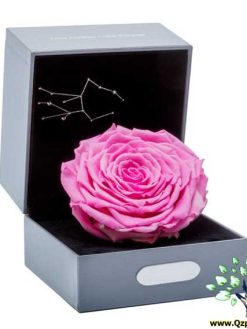 رز جاویدان RI140 Rose Immortal
