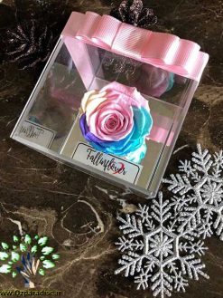 رز جاویدان RI141 Rose Immortal