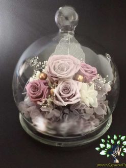 رز جاویدان RI144 Rose Immortal