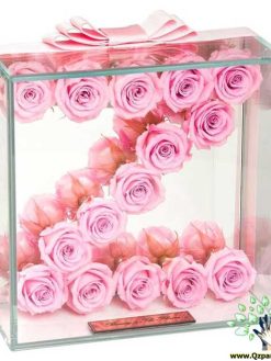 رز جاویدان RI146 Rose Immortal