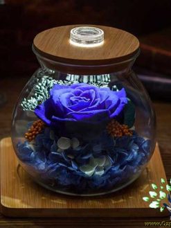 رز جاویدان RI147 Rose Immortal