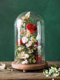 رز جاویدان RI148 Rose Immortal