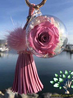 رز جاویدان RI149 Rose Immortal