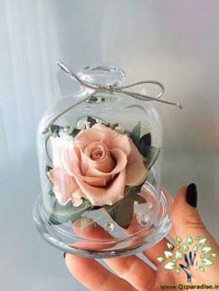 رز جاویدان RI154 Rose Immortal