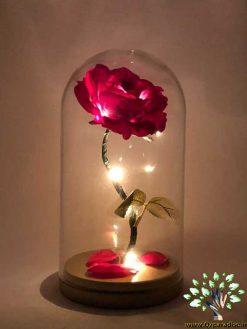 رز جاویدان RI16 Rose Immortal