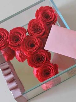 رز جاویدان RI18 Rose Immortal