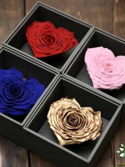 رز جاویدان RI21 Rose Immortal