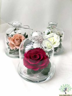 رز جاویدان RI22 Rose Immortal