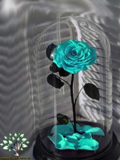 رز جاویدان RI23 Rose Immortal