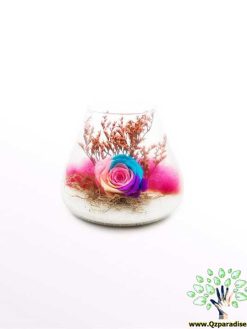 رز جاویدان RI24 Rose Immortal