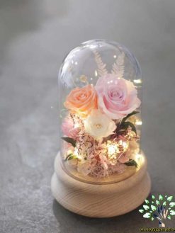 رز جاویدان RI28 Rose Immortal