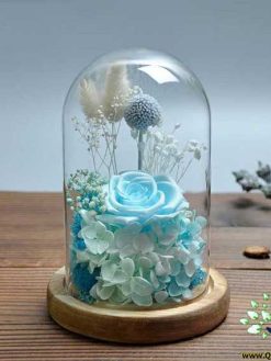 رز جاویدان RI29 Rose Immortal