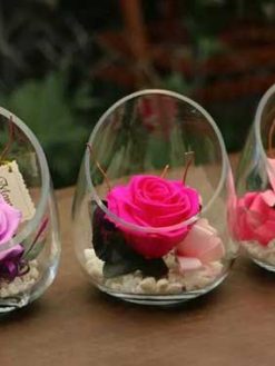 رز جاویدان RI30 Rose Immortal