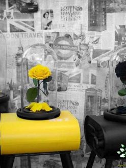 رز جاویدان RI31 Rose Immortal