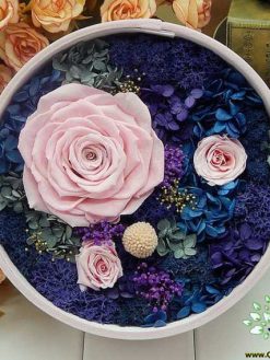 رز جاویدان RI32 Rose Immortal