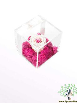 رز جاویدان RI37 Rose Immortal