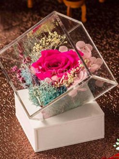 رز جاویدان RI4 Rose Immortal